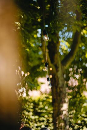 lights
